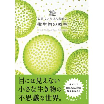 世界でいちばん素敵な微生物の教室